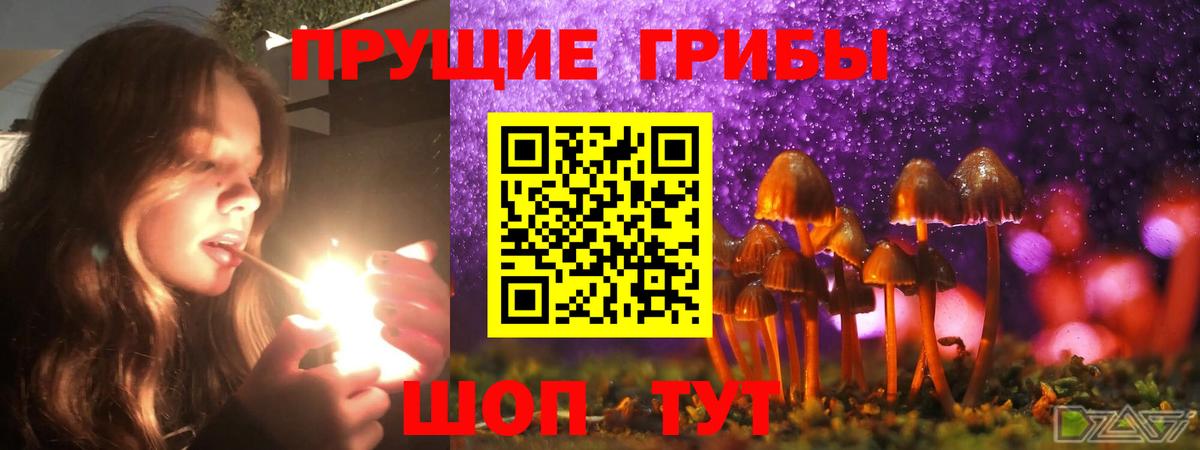 Галлюциногенные грибы ЛСД Лосино-Петровский