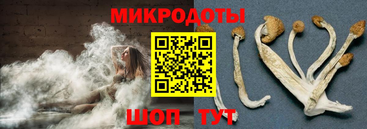 цена   Псилоцибиновые грибы MAGIC MUSHROOMS  Галлюциногенные грибы Psilocybine cubensis  Вход с VPN  Лосино-Петровский 